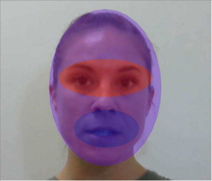Three areas of interest for fixation analyses: full face (purple), eyes (red) and mouth (blue). Credit: Florida Atlantic University